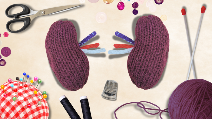 Craft kidneys knitted