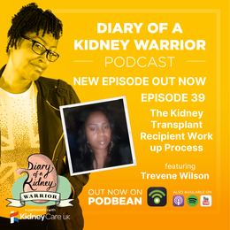 Diary of a Kidney Warrior podcast episode 39: the kidney transplant recipient work-up process.