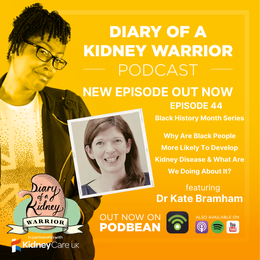 Diary of a Kidney Warrior podcast episode 44: why are black people more likely To develop kidney disease and what are we doing about it?