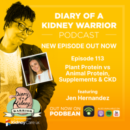 Diary of a Kidney Warrior episode 113 Plant Protein vs Animal Protein, Supplements & CKD artwork.