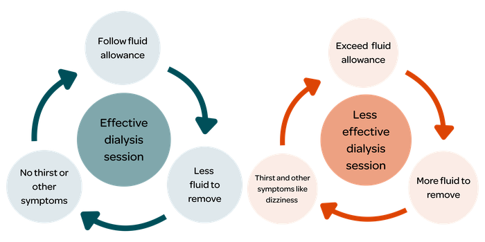 More and less effective dialysis diagram