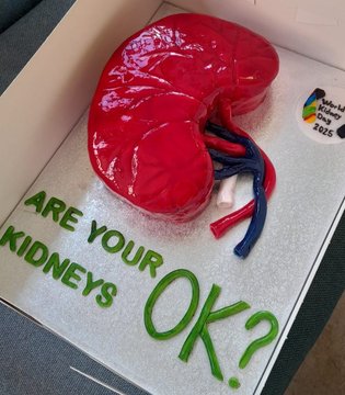 Kidney-shaped cake - World Kidney Day 2025